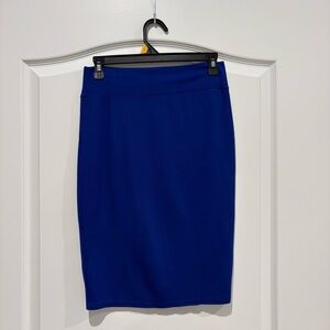 Elegant Blue Women's Skirt